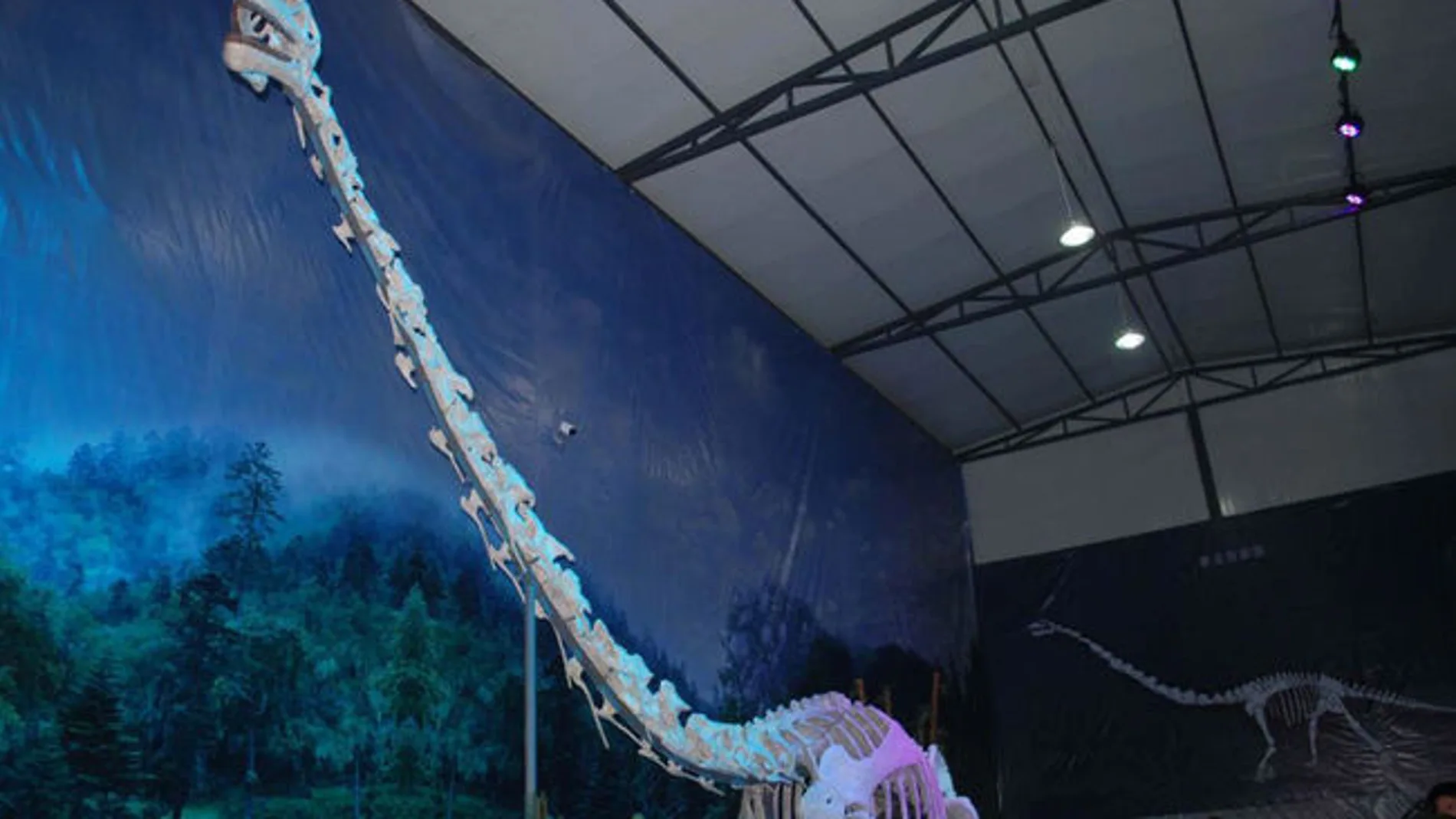 Reconstrucción del 'dragón de Qijianglong' Reconstrucción del 'dragón de Qijianglong'