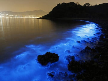 Un resplandor azul fluorescente en las costas de Hong Kong