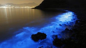 Un resplandor azul fluorescente en las costas de Hong Kong