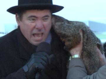 Una marmota muerde la oreja del acalde de un pueblo de Wisconsin