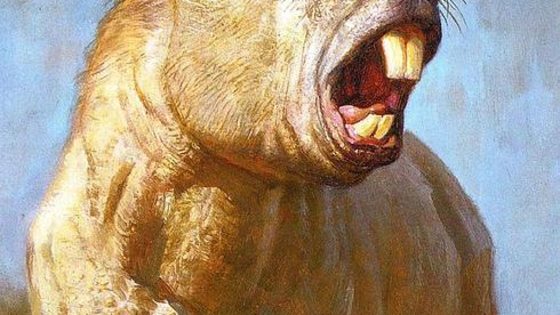 Imagen de como ser&iacute;a el roedor