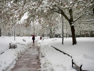 Varias personas pasean por uno de los parques nevados de Vitoria