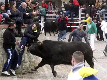 Tres heridos en las Fiestas del Carnaval del Toro en Ciudad Rodrigo Tres heridos en las Fiestas del Carnaval del Toro en Ciudad Rodrigo