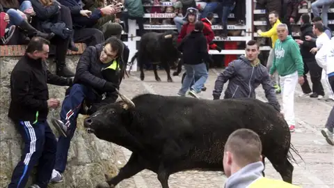 Tres heridos en las Fiestas del Carnaval del Toro en Ciudad Rodrigo Tres heridos en las Fiestas del Carnaval del Toro en Ciudad Rodrigo