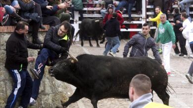 Tres heridos en las fiestas del Carnaval del Toro en Ciudad Rodrigo