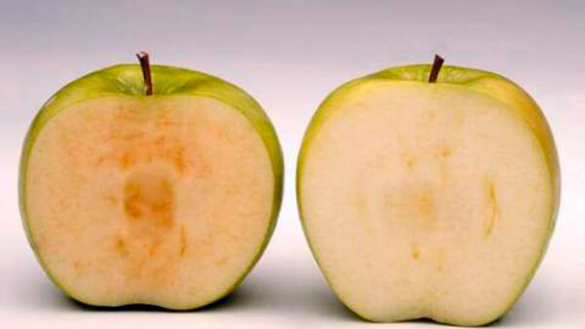 Una manzana normal y la variedad 'ártica' Una manzana normal y la variedad 'ártica'