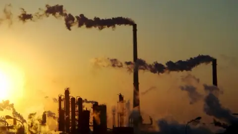 WWF presenta nuevo informe con medidas contra cambio climático WWF presenta nuevo informe con medidas contra cambio climático