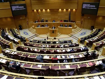 Imagen del pleno del Senado Imagen del pleno del Senado