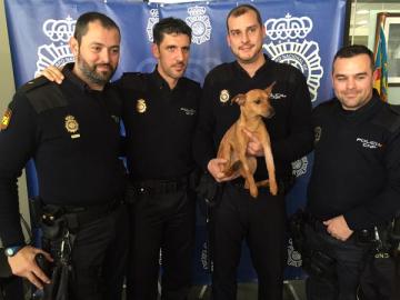 Policías nacionales de Alicante junto al perro