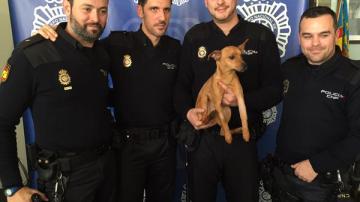 Policías nacionales de Alicante junto al perro