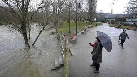 Viandantes miran la crecida del Ebro Viandantes miran la crecida del Ebro