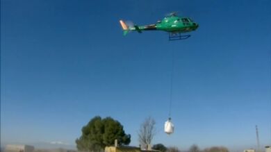 La mitad de los 10.000 animales muertos en Aragón por las riadas ya han sido retirados 