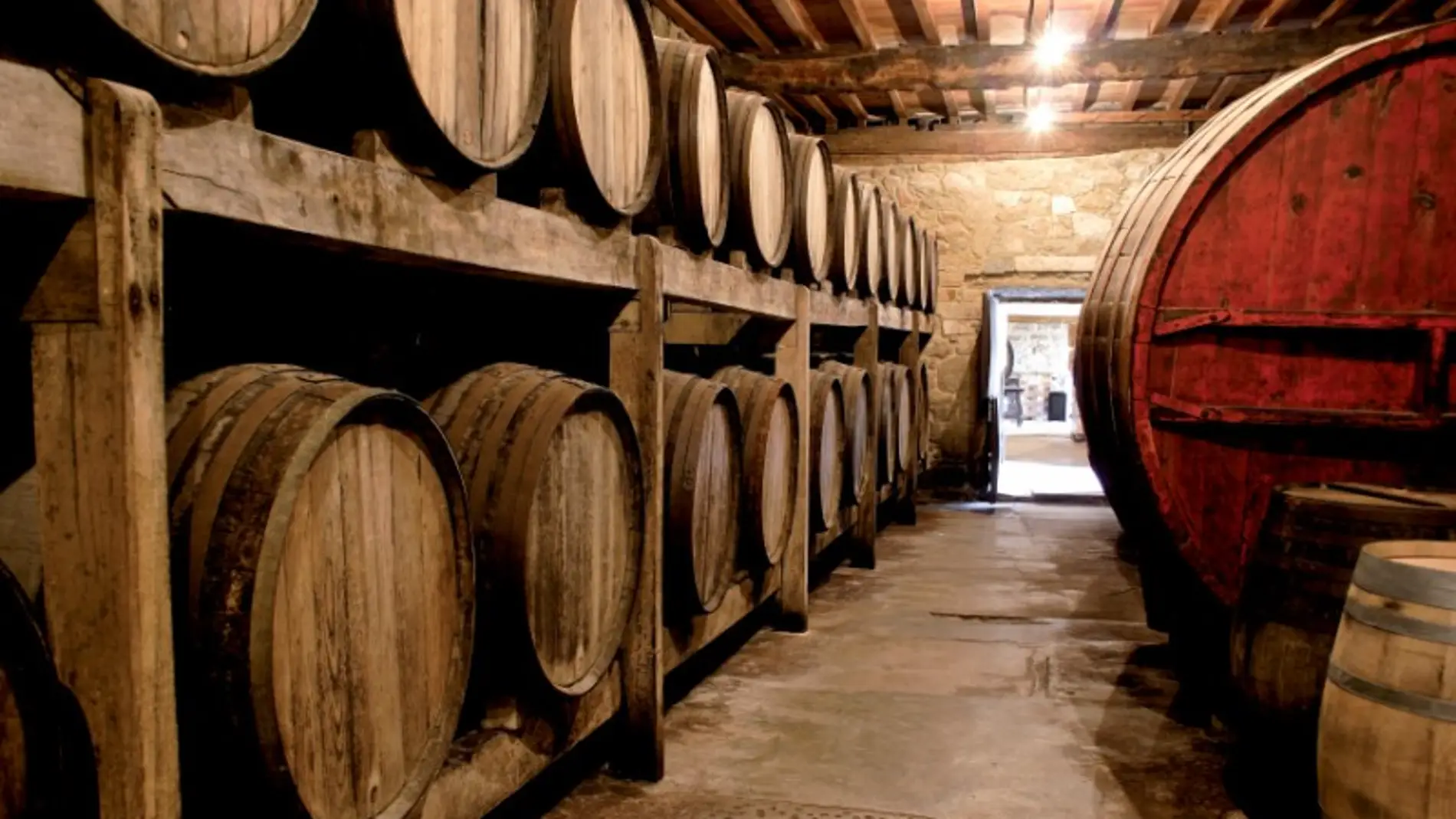 Los viñedos de Pazo de Fefiñáns.