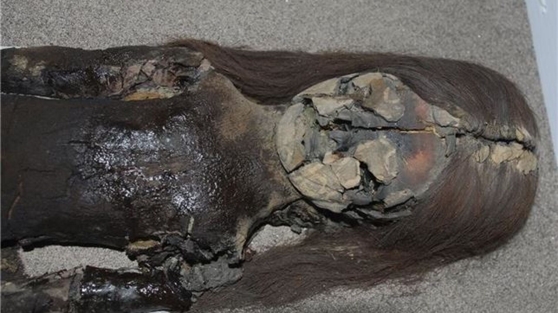 Las momias chinchorro