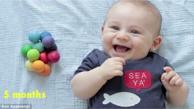Teddy de 0 a 1 año: Un vídeo muestra lo rápido que crecen los niños