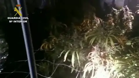 00188 00188
