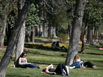 Varias personas en un parque de Madrid Varias personas en un parque de Madrid