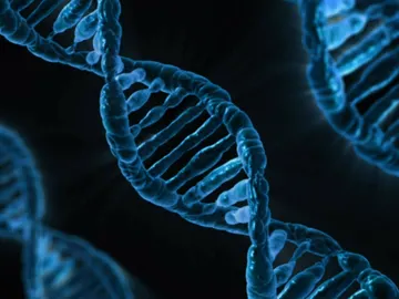 Recreación de los genes en el ADN Recreación de los genes en el ADN
