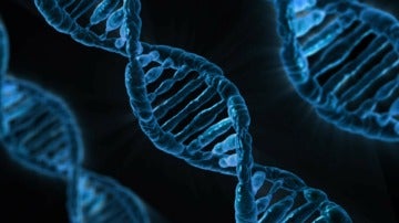 Recreación de los genes en el ADN