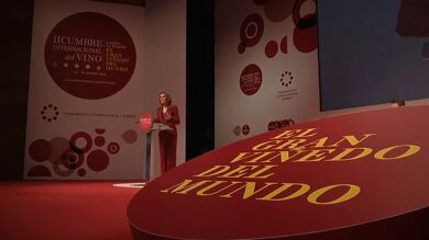 Castilla-La Mancha presume de exportar la mitad del vino español