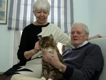 Gatito geriátrico Gatito geriátrico