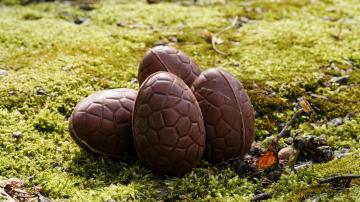 Un huevo de chocolate... fácil de hacer.