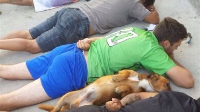 Un perro se rinde junto a sus dueños sospechosos en una detención policial en Brasil