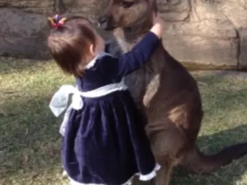 Una madre graba el momento en que su hija y un canguro se hacen amigos Una madre graba el momento en que su hija y un canguro se hacen amigos