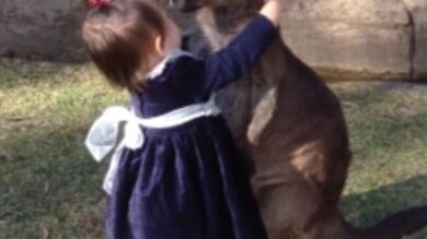 La entrañable reacción de una niña de dos años al ver a un canguro por primera vez 
