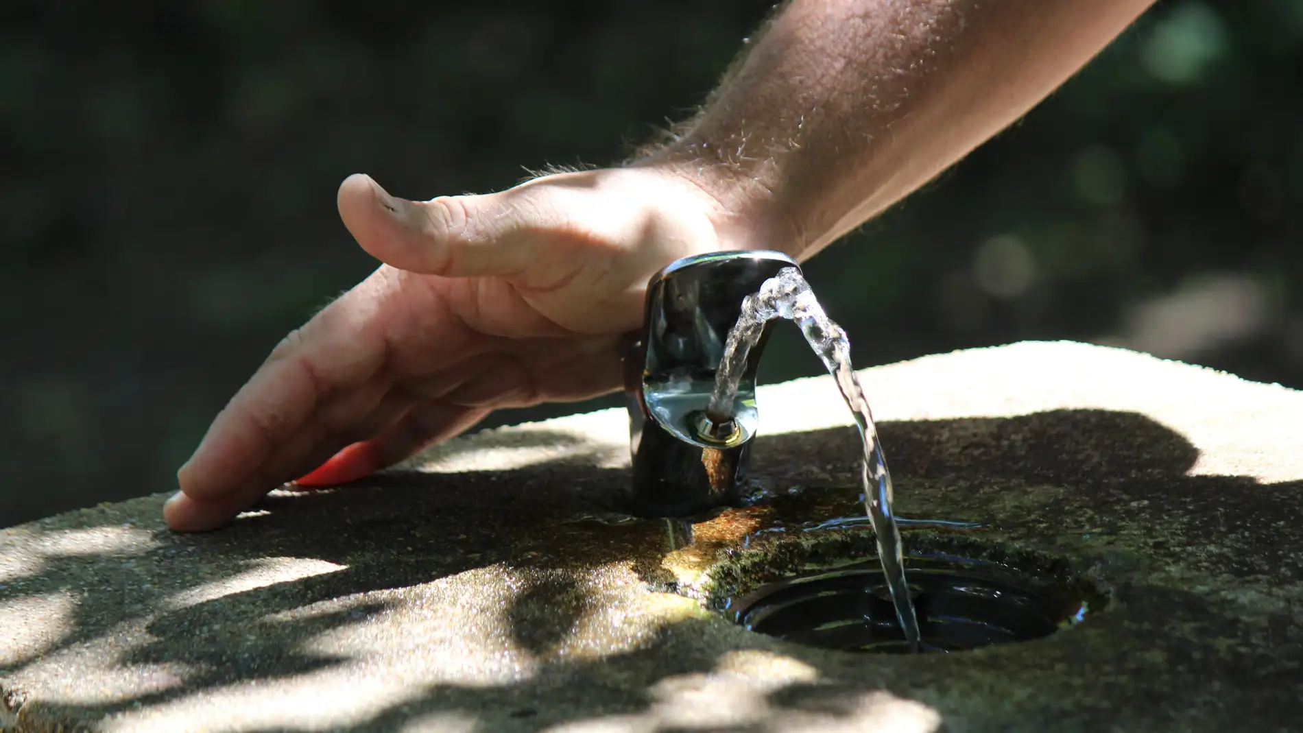 El calor aprieta y nosotros intentamos hidratarnos.