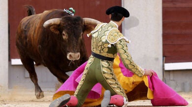 Jiménez Fortes, corneado en el cuello en Vitigudino