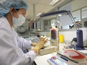 Diseñan un anticuerpo artificial que podría combatir la leucemia