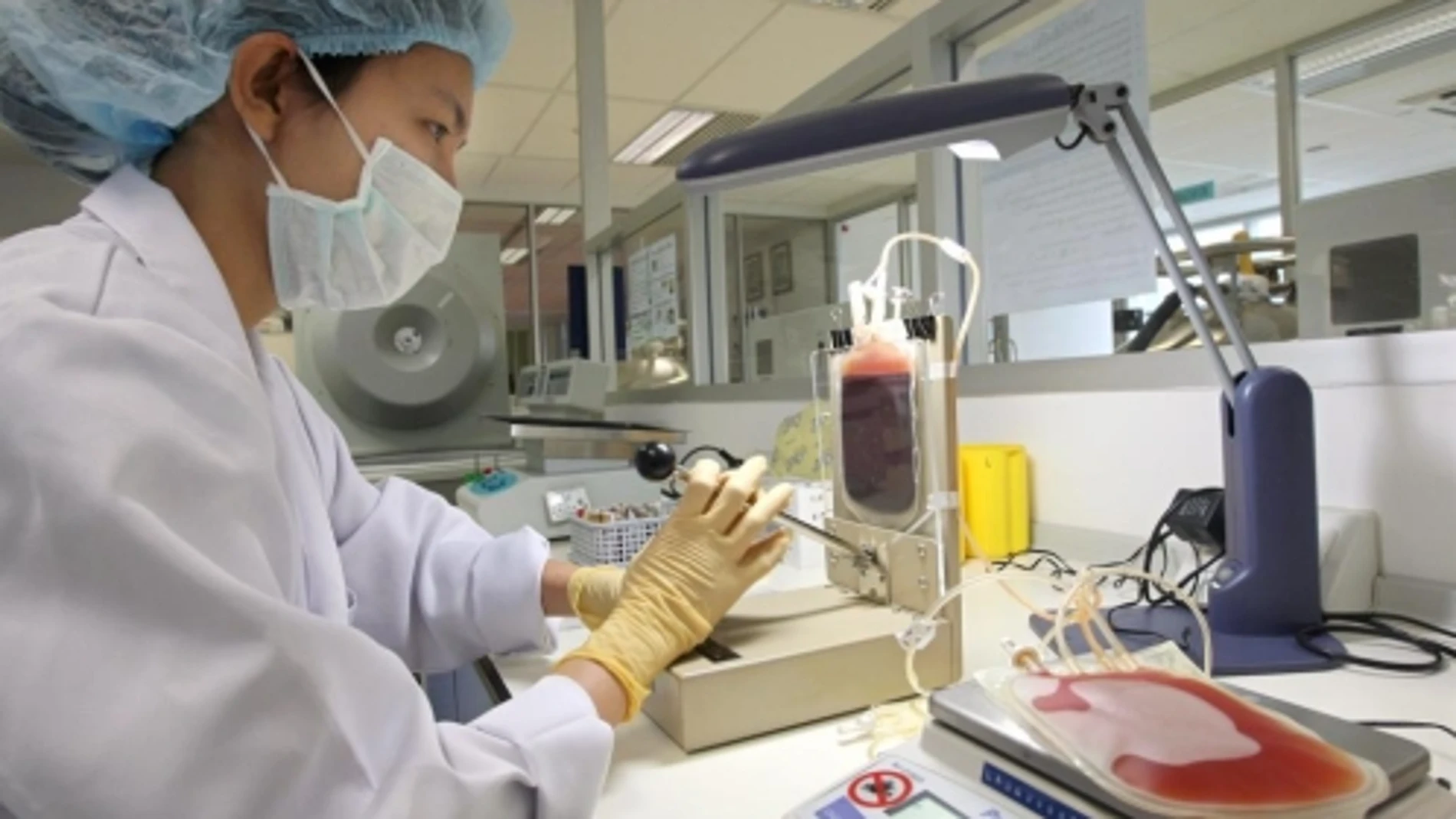Diseñan un anticuerpo artificial que podría combatir la leucemia Diseñan un anticuerpo artificial que podría combatir la leucemia