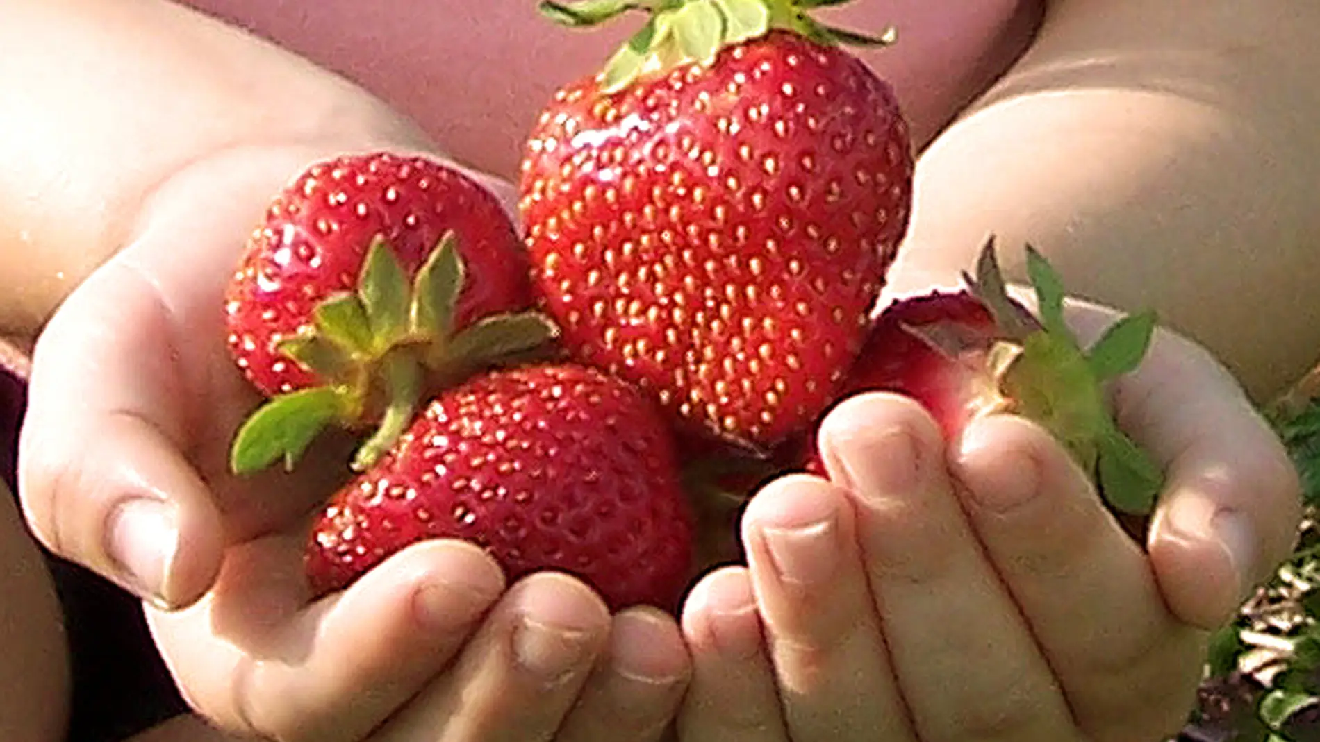 La fruta después de comer igual no es tan buena... os contamos el motivo.