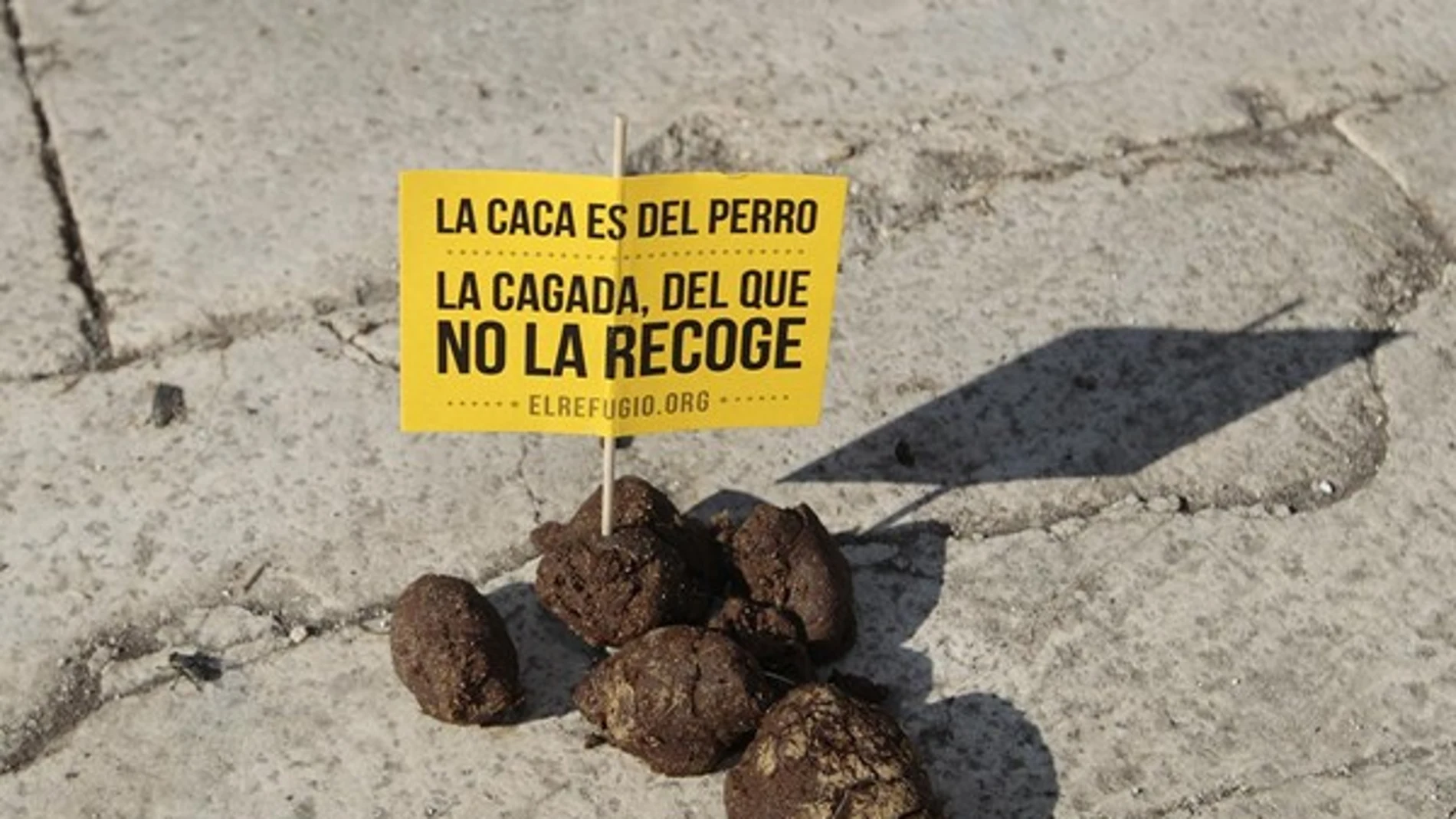 Eslogan de la campaña #pasodecacas Eslogan de la campaña #pasodecacas