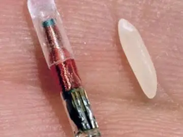 Microchip de identificación para mascotas Microchip de identificación para mascotas