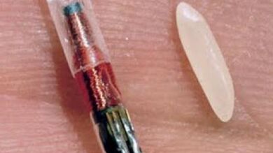 Una empresa de Estados Unidos implantará microchips a algunos de sus empleados para agilizar tareas