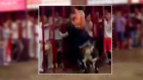 Cogida mortal en Coria