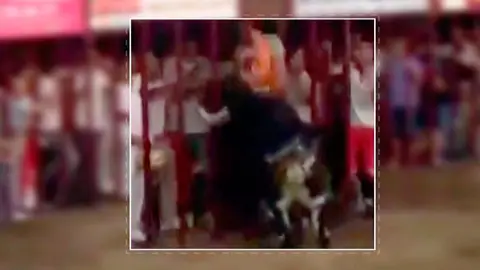 Cogida mortal en Coria Cogida mortal en Coria