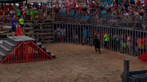 Festejo taurino en L'Ampolla (Tarragona)