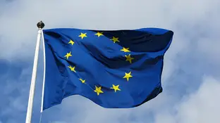 Bandera de la Unión Europea Bandera de la Unión Europea