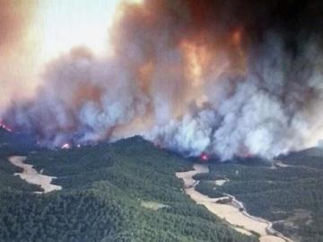 Un incendio forestal afecta a una zona de arbolado y monte bajo de Zaragoza