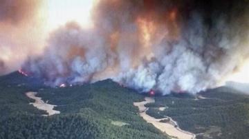 Un incendio forestal afecta a una zona de arbolado y monte bajo de Zaragoza