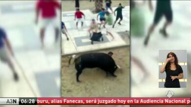 Muere un hombre tras ser corneado por un toro en Castellón