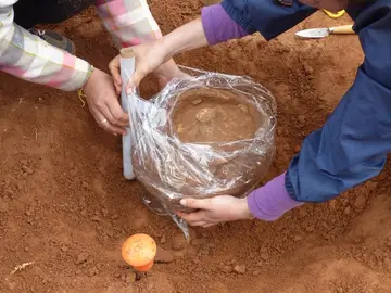 Recuperan urnas de incineración intactas en una necrópolis ibérica de Ulldecona Recuperan urnas de incineración intactas en una necrópolis ibérica de Ulldecona