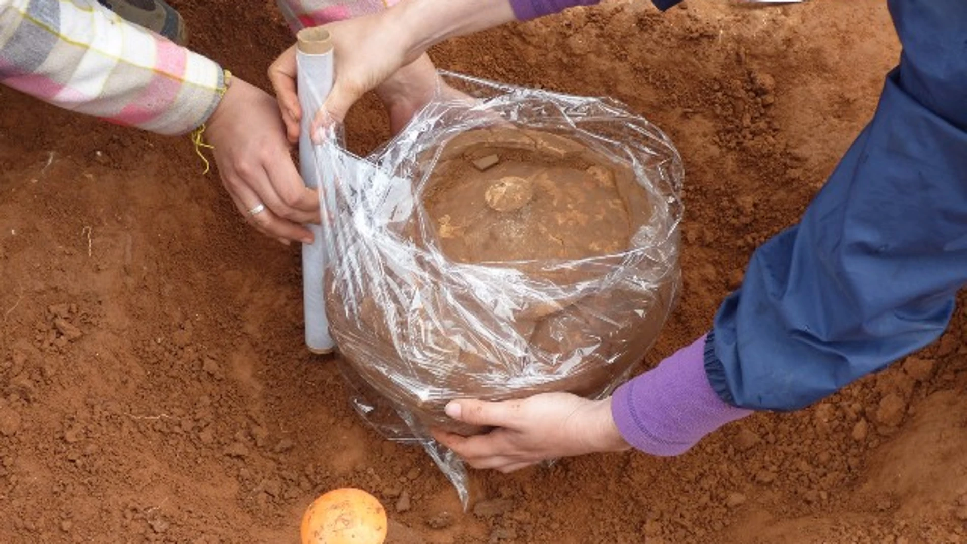 Recuperan urnas de incineración intactas en una necrópolis ibérica de Ulldecona Recuperan urnas de incineración intactas en una necrópolis ibérica de Ulldecona