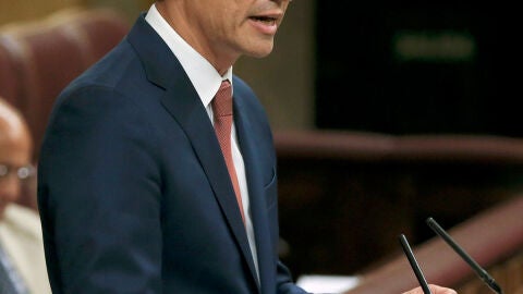 Pedro S&aacute;nch&eacute;z, en el Congreso de los Diputados