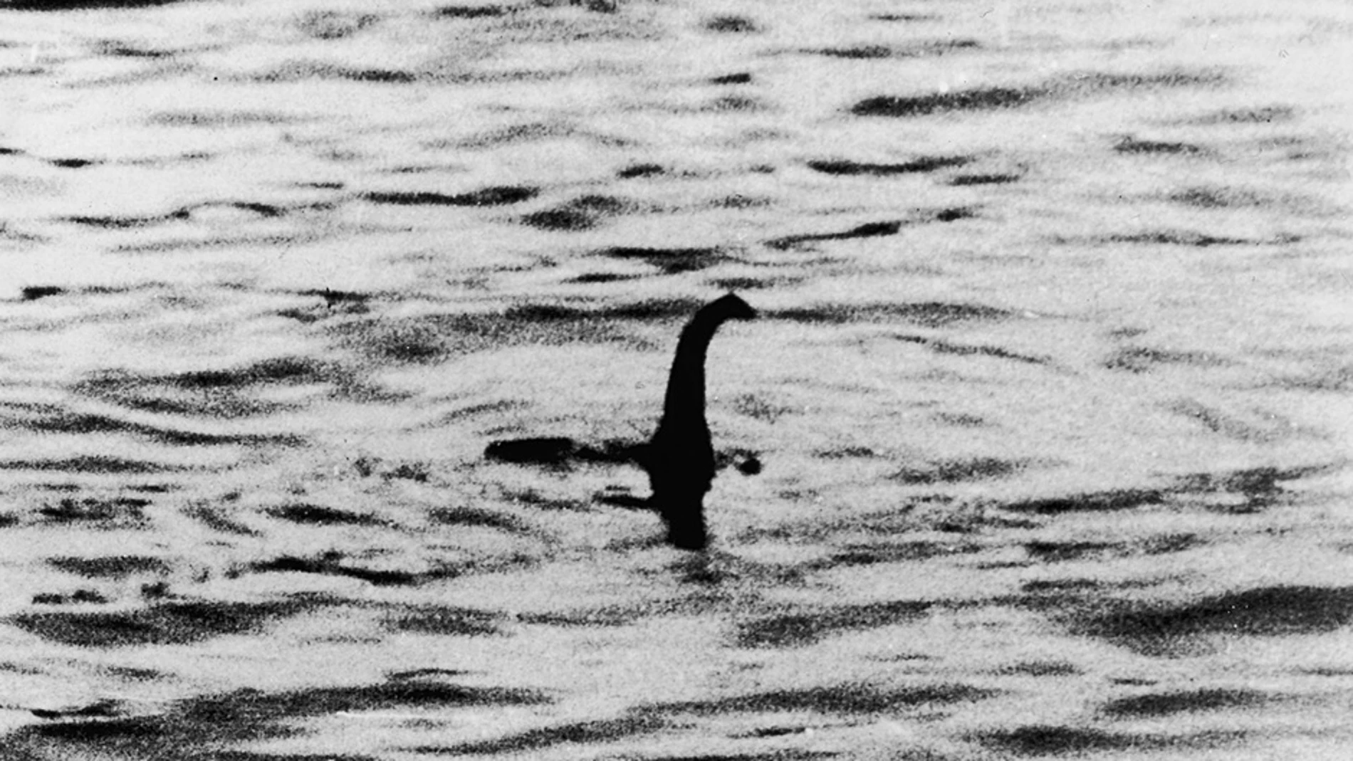 La fotografía tomada por un cirujano en 1934 resultó ser un montaje La fotografía tomada por un cirujano en 1934 resultó ser un montaje