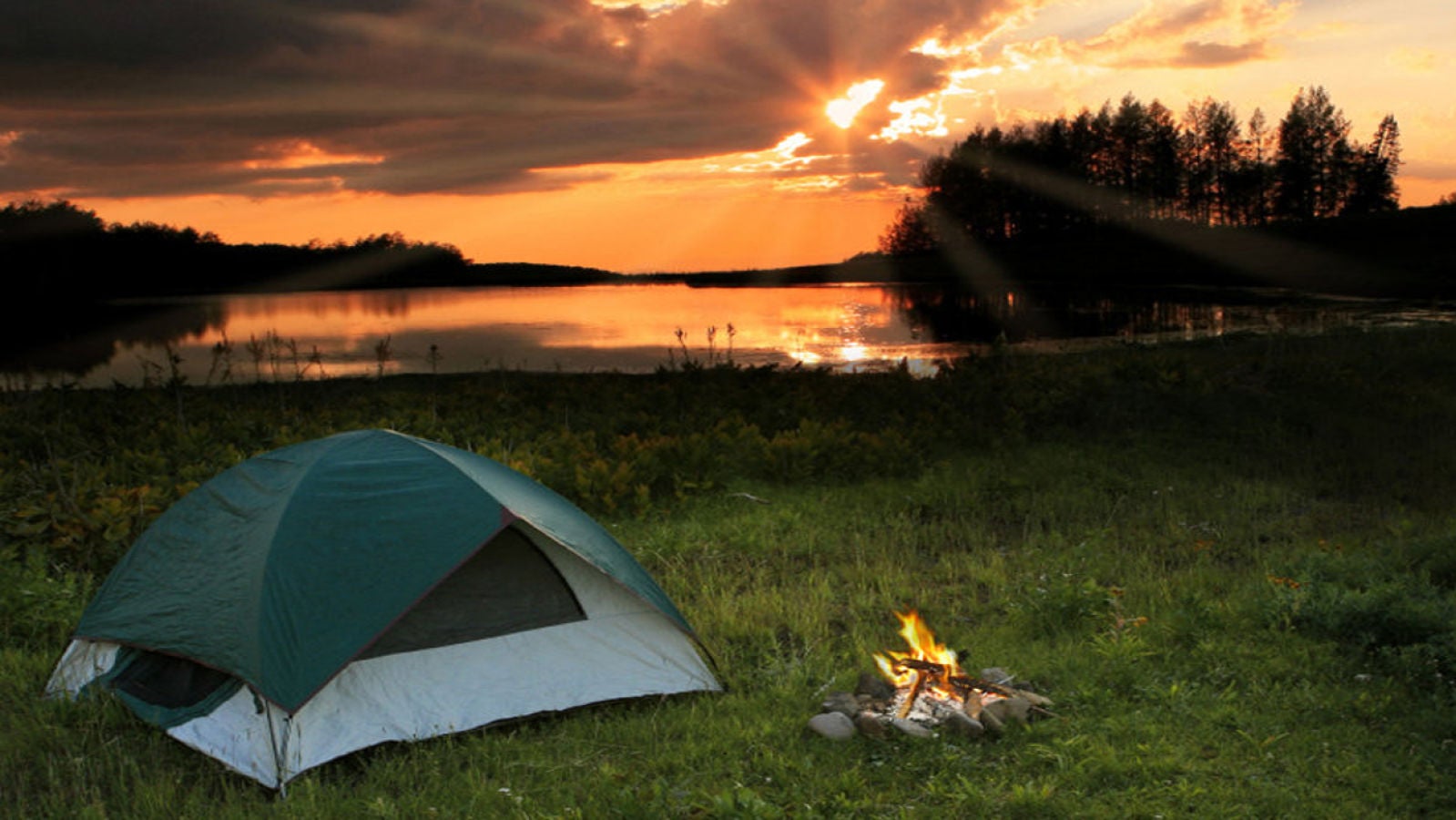 Nueva York permite acampar en sus parques de forma gratuita