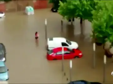 00798 00798